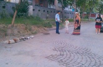 Внимание: Изрод хвърля отрова, кучета измират в