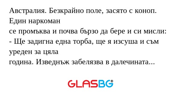 Австралия. Безкрайно поле, засято...