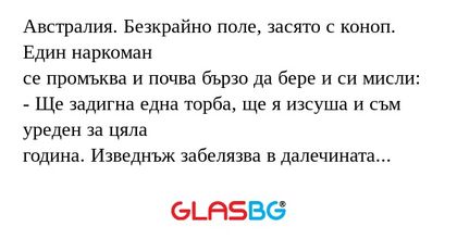 Австралия. Безкрайно поле, засято...