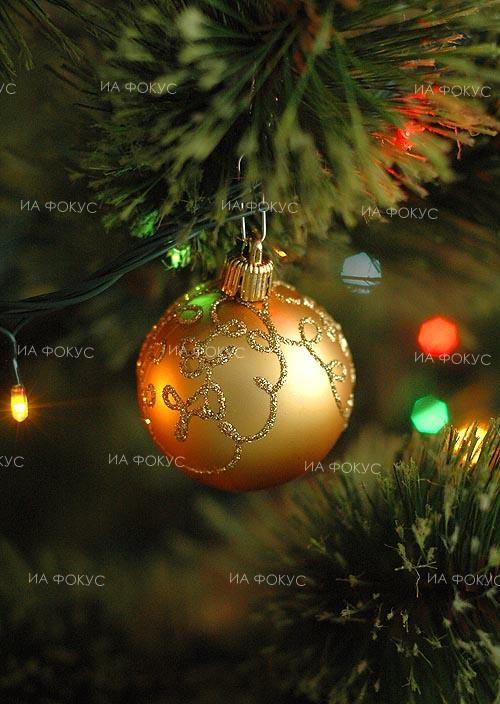 Пловдив: Две коледно-новогодишни събития подготвя Община Садово