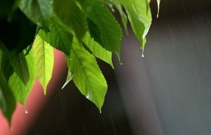 Времето през празничните дни