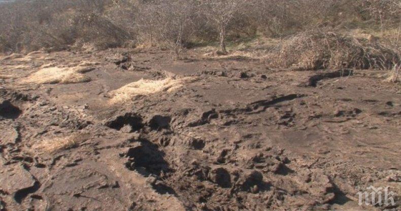 Село настръхна срещу биоцентрала, хората не си отварят прозорците заради ужасна смрад