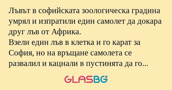 Лъвът в софийската зоологическа...