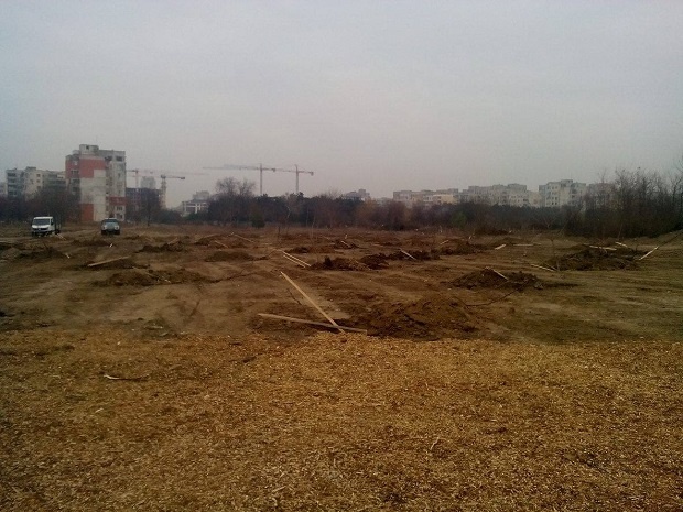 60 дка нова гора в „Тракия“