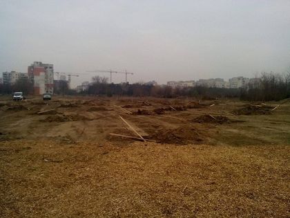 60 дка нова гора в „Тракия“