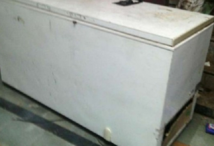 Откриха тялото на хърватска студентка, изчезнала преди 19 години, във фризера на сестра ѝ