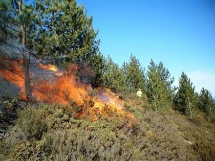 Става страшно, обявиха бедствено положение заради пожара край Гълъбово