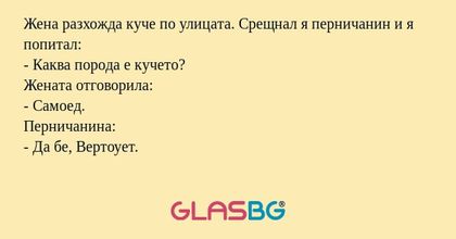 Жена разхожда куче по улицата...