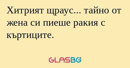 Хитрият щраус... тайно от жена...