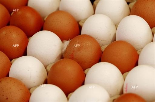 Д-р Костадинка Маринова, ОДБХ – Варна: Не е препоръчително яйца и месо да бъдат закупувани от нерегламентирани производители или търговци