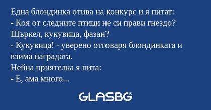 Една блондинка отива на конкурс...