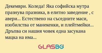 Декември. Коледа! Яка софийска...