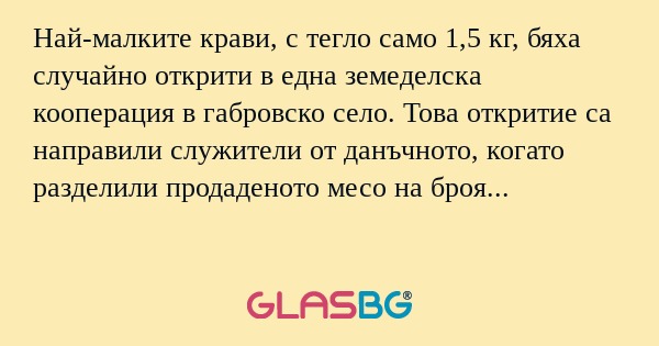 Най-малките крави, с тегло само...