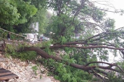 България под вода: Апокалиптични кадри от плажа във Варна! Дървета падат с тътен на алеята (СНИМКИ)