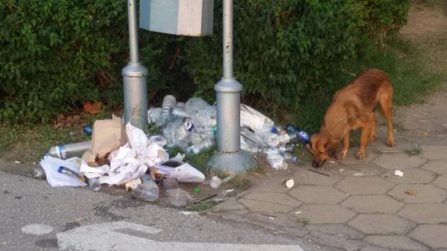 Кой ще изчисти боклуците от Гребната? СНИМКИ