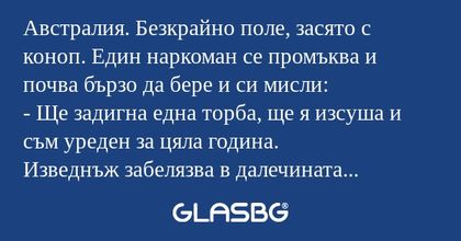 Австралия. Безкрайно поле, засято...
