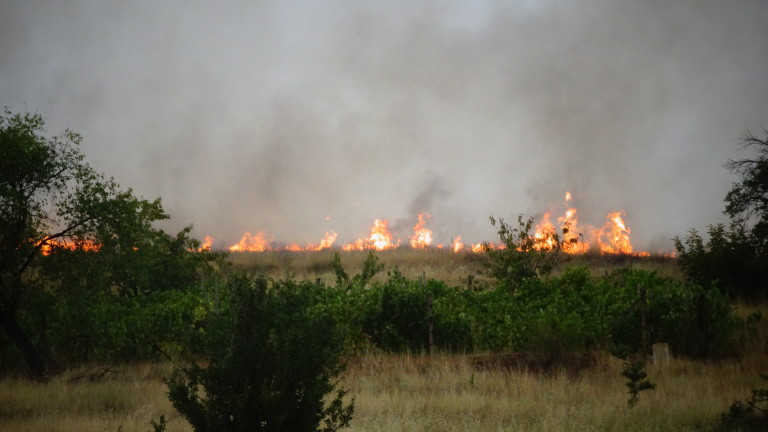 Тежка и безсънна нощ за две ямболски села заради пожар (ВИДЕО)