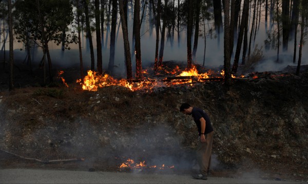 Горски пожари взеха жертви в Испания и Португалия
