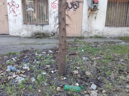 Двор до двор в Пловдив, а хич не си приличат СНИМКИ