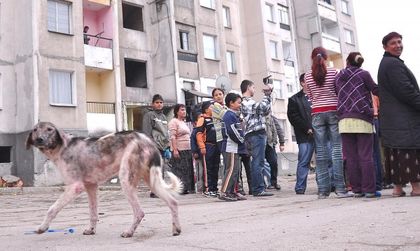 България не усвоява парите за ромите, да ги вземе Германия!