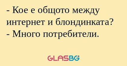 Кое е общото между интернет и...