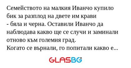 Семейството на малкия Иванчо купило...