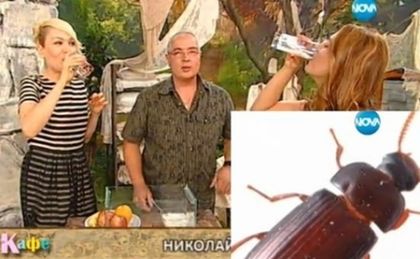 Гадост! Гала налапа... живи бръмбари (СНИМКА)