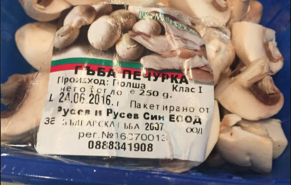 Пловдивчанин: Жена ми купила и сготвила от онези гъби! Сега да ям ли?