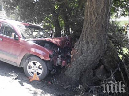 Шофьор загина на място след челен удар в дърво
