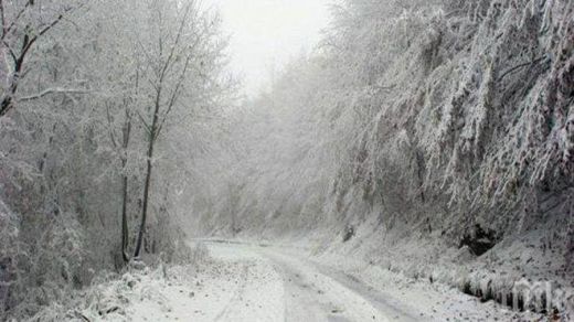Златишкият и Върбишкият проход са затворени