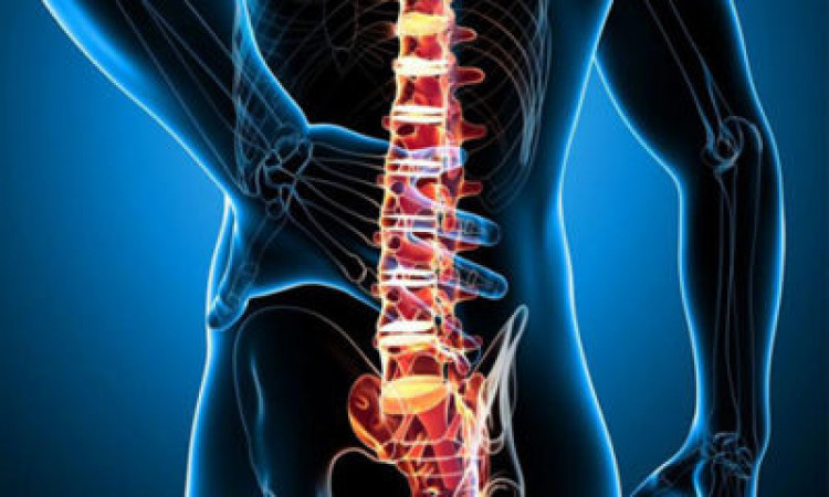 Опасно заболяване ли е хемангиомът на гръбначния стълб?