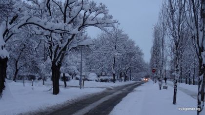5 правила, които трябва да спазвате, ако шофирате при сняг
