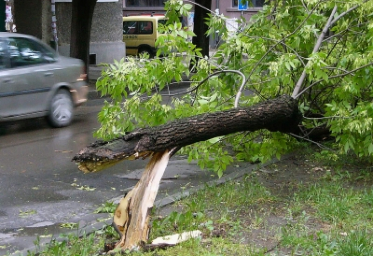 Невиждана стихия в Русенско