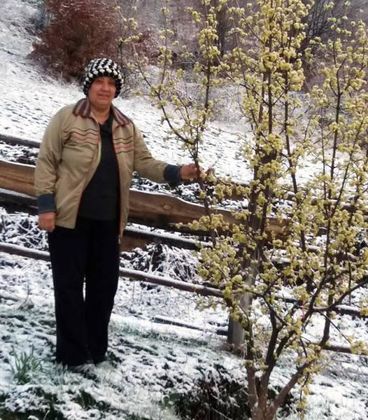 Зимата се върна! Ардино осъмна под снежна покривка