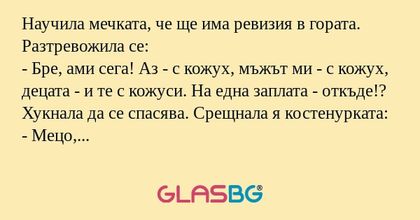 Научила мечката, че ще има ревизия...
