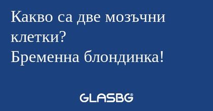 Какво са две мозъчни клетки? Бременна...