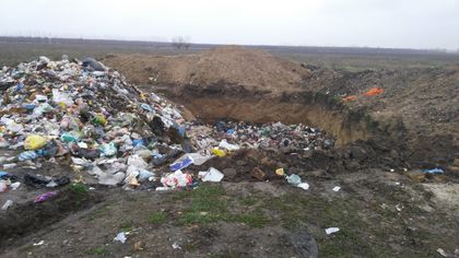 РИОСВ хванаха на калъп трактор на община, извърлящ отпадъци на нерегламентирано сметище край Пловдив! Ще има глоба
