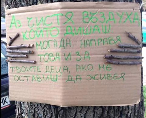 Дърво 