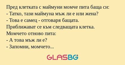 Пред клетката с маймуни момче пита...