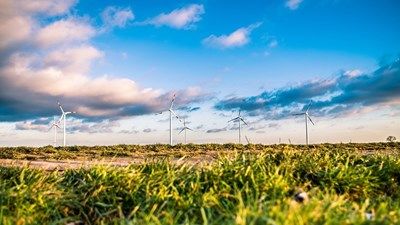 Днес е Световният ден на околната среда