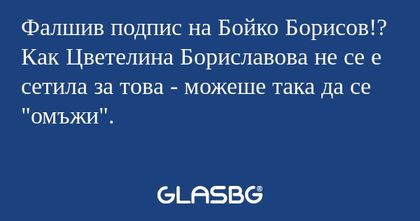 Фалшив подпис на Бойко Борисов...