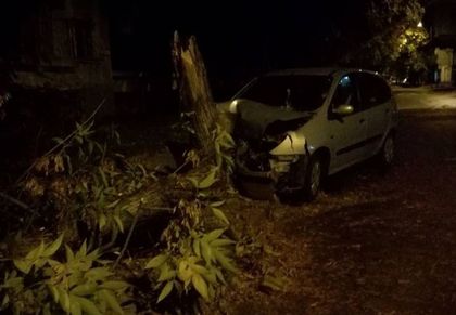 Рено се заби челно в дърво в Кичука, шофьорът офейка (СНИМКА)