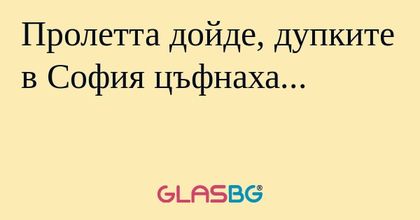 Пролетта дойде, дупките в София...