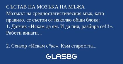 СЪСТАВ НА МОЗЪКА НА МЪЖА Мозъкът...