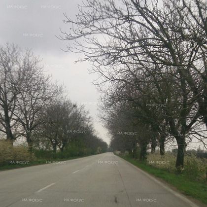 Плевен: Временно е ограничено движението по пътя Луковит – Оряхово в участъка Червен бряг – Чомаковци от км 9+715 до км 19+207