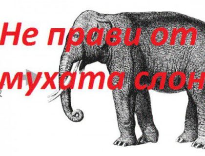 Любопитната история на най-популярните изрази