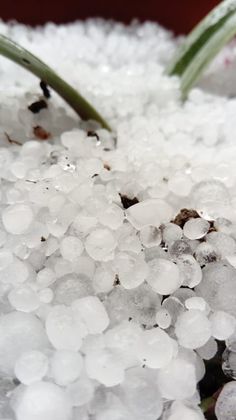 Село край Пловдив побеля! Градушка колкото орех унищожи реколтата СНИМКИ и ВИДЕО