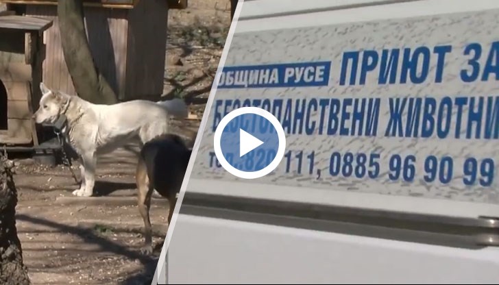 Подписка с искане доктор Емил Молнар да бъде уволнен