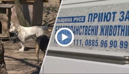 Подписка с искане доктор Емил Молнар да бъде уволнен