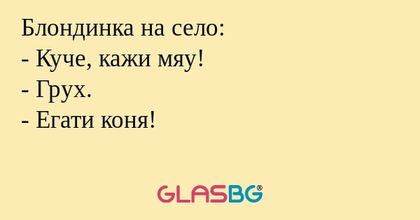 Блондинка на село: - Куче, кажи...